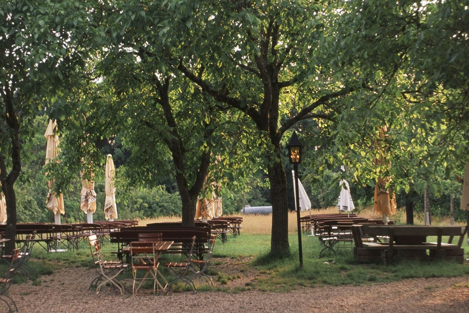 Ruhiger Biergarten eines Landgasthofs mit Bierbänken und -tischen unter schattigen Bäumen.